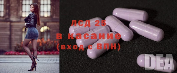 меф Ельня