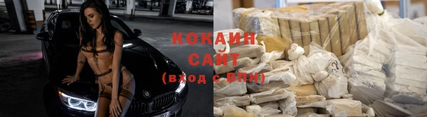 гашик Михайловск