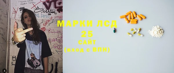 гашик Михайловск