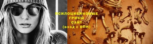 гашик Михайловск