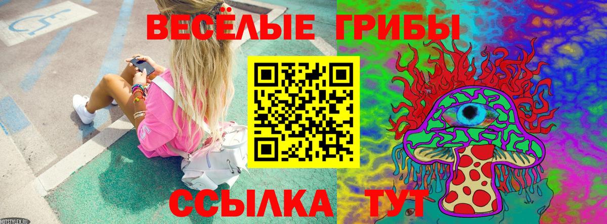Галлюциногенные грибы MAGIC MUSHROOMS  Галлюциногенные грибы ЛСД  Вход с VPN  Саров 